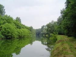 Le vieux Rhône