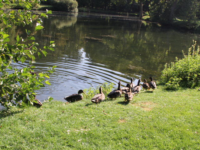Parc de Géresme