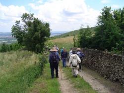 Sur le sentier