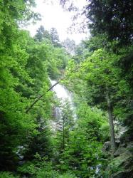 Saut du Gier