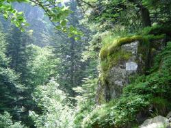 Le milieu environnant