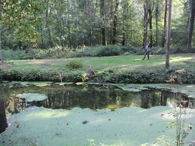 Parc de Géresme