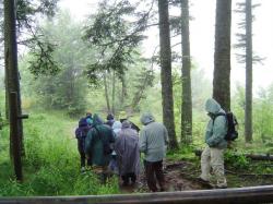 Sous la pluie