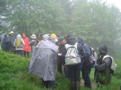 Sous la pluie