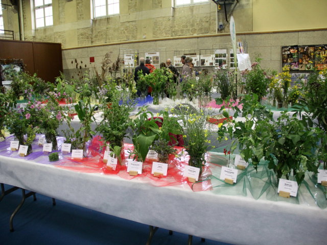Stand Plantes sauvages expo 2019