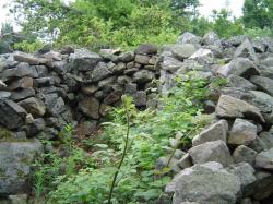 Le tumulus