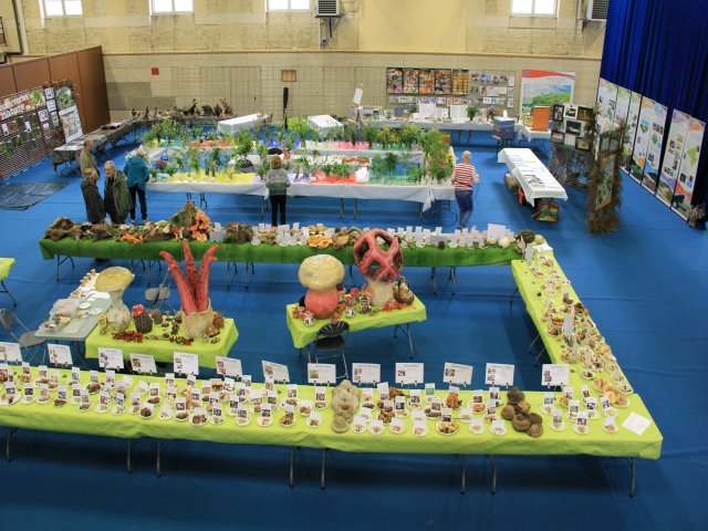Vue d'ensemble expo 2019